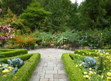 The hardscape and tightly clipped boxwood edging make a big impact at the Heronswood garden in Kingston, regardless of the season.