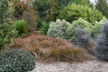 A New Zealand xeriscape theme is taken to a whole new level at the Seattle Arboretum.