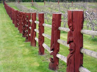 What a delight to come across an orchard fence like this while exploring our backcountry roads!