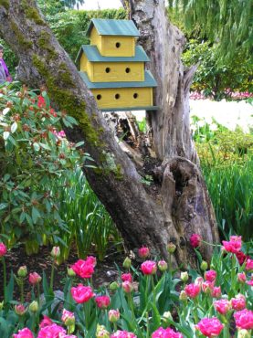 Colorful birdhouses will delight anyone, including the birds, bumblebees and spiders.