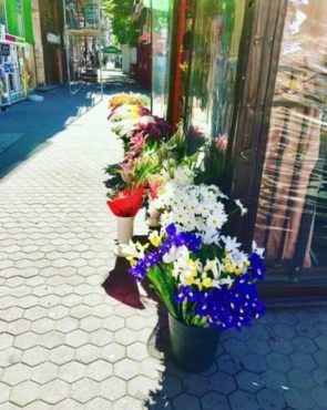 Flower seller in Sofia