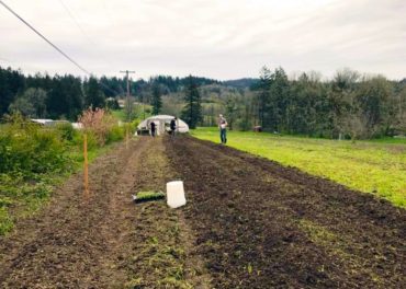 Field ready for planting