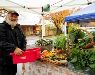 Organic farmer at market