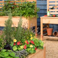 Raised beds and multipurpose potting benches can add both beauty and functionality to your patio or deck.