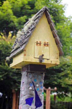 The backside of this box has a hinged door for cleanout after the brood has left the nest.