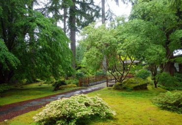 Main entrance to the Japanese Garden