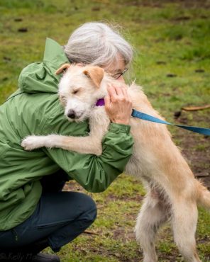 One of our volunteers, Kathy Mahan, walks and socializes one of the dogs awaiting adoption.