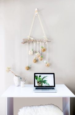 Book: Hanging Kokedama