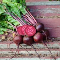 The National Garden Bureau proclaimed 2018 the Year of the Beet.