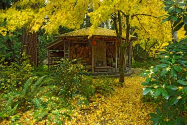 The gazebo sprinkled by fall’s gold