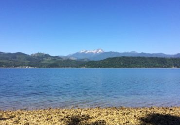 Thirty-one acres of high bluff shoreline protected on Hood Canal south of Dewatto. (Photo courtesy Jonathan Decker)