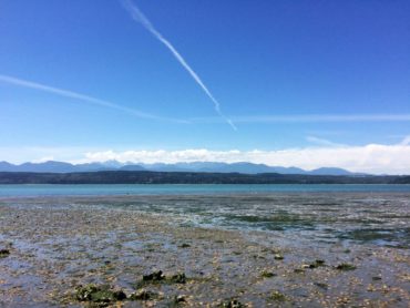 Twenty acres of marine shoreline and six acres of tidelands protected on Hood Canal north of Vinland. (Photo courtesy Jonathan Decker)