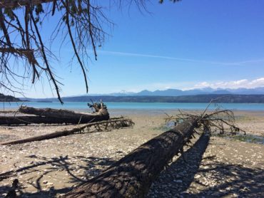 Twenty acres of marine shoreline and six acres of tidelands protected on Hood Canal north of Vinland. (Photo courtesy Jonathan Decker)