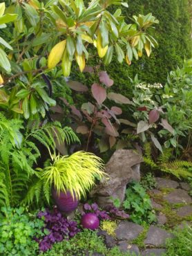 A splash of golden Japanese forest grass plays well with purple foliage of Heucheras and Plum Passion hydrangea.