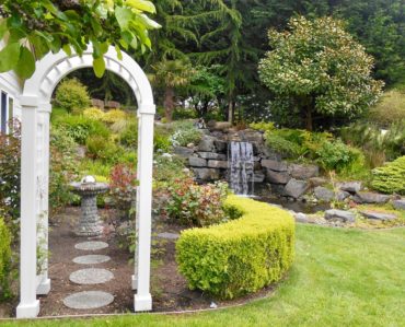 Rose garden, pond and waterfall in the Becks' garden