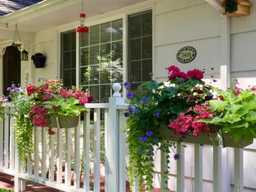 Flower boxes on the Dreyers' front porch