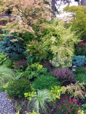 Tapestry of plants in Norene Scott's garden