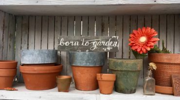 "Born to Garden" sign in Karen Beck's greenhouse