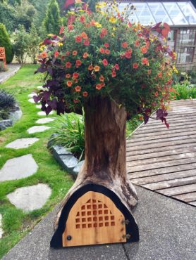 Larry Beck's tree trunk fairy house