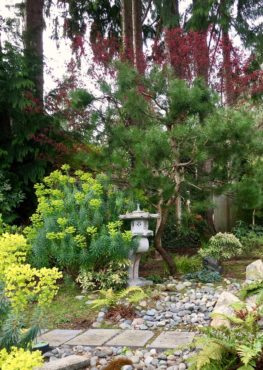 A place of quiet reflection in the Lightfeldts' garden