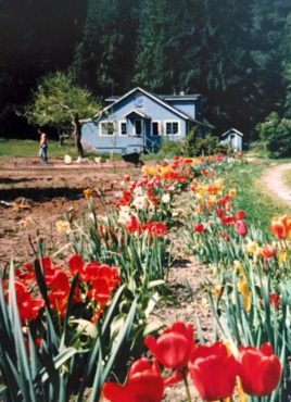 The original home and garden (Photo courtesy Marj Masla)