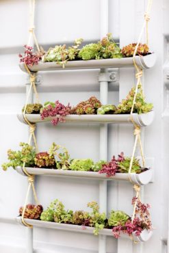 Pipe Planter