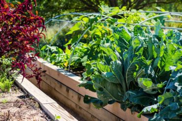 edible garden tour