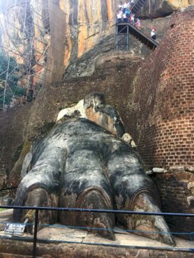 The Lion's Paw, entrance to Sigirya