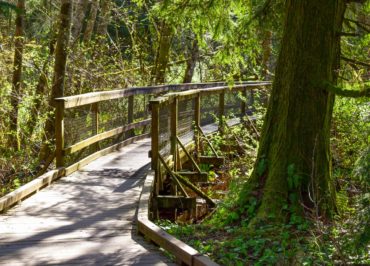 West Hylebos Wetlands trail (Photo by Susan Elderkin)