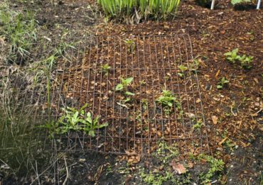 A metal grid helps keep deer away.