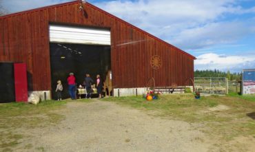 Key Peninsula Farm Tour and Fiber Arts Show