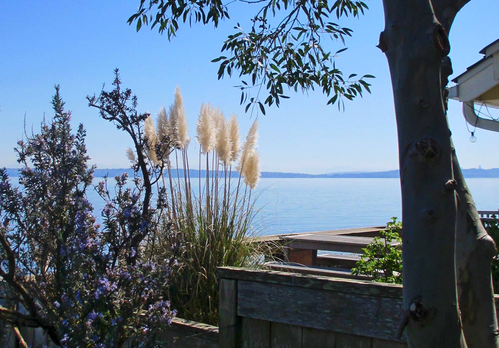 Waterside Gardening