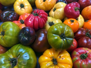 Heirloom Tomatoes