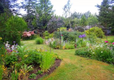 Permaculture Garden