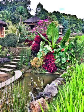 The gardens at Puri Lumbung Cottages