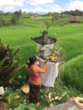 Shrines are tended daily by the women to bring good luck and abundant harvest.