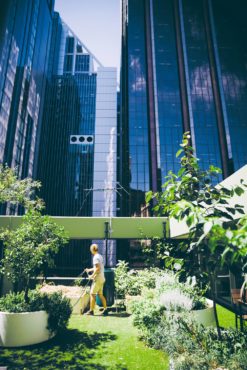 city gardening