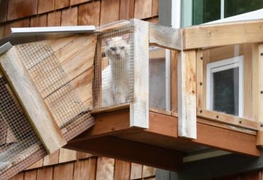 Cat doors in an upstairs window allow Tresco to come and go as he pleases.