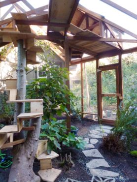 Spiral staircase along a tree trunk and plentiful high platforms for lounging