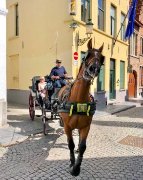 Carriage rides