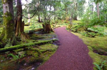 Bloedel Reserve Moss Gardens