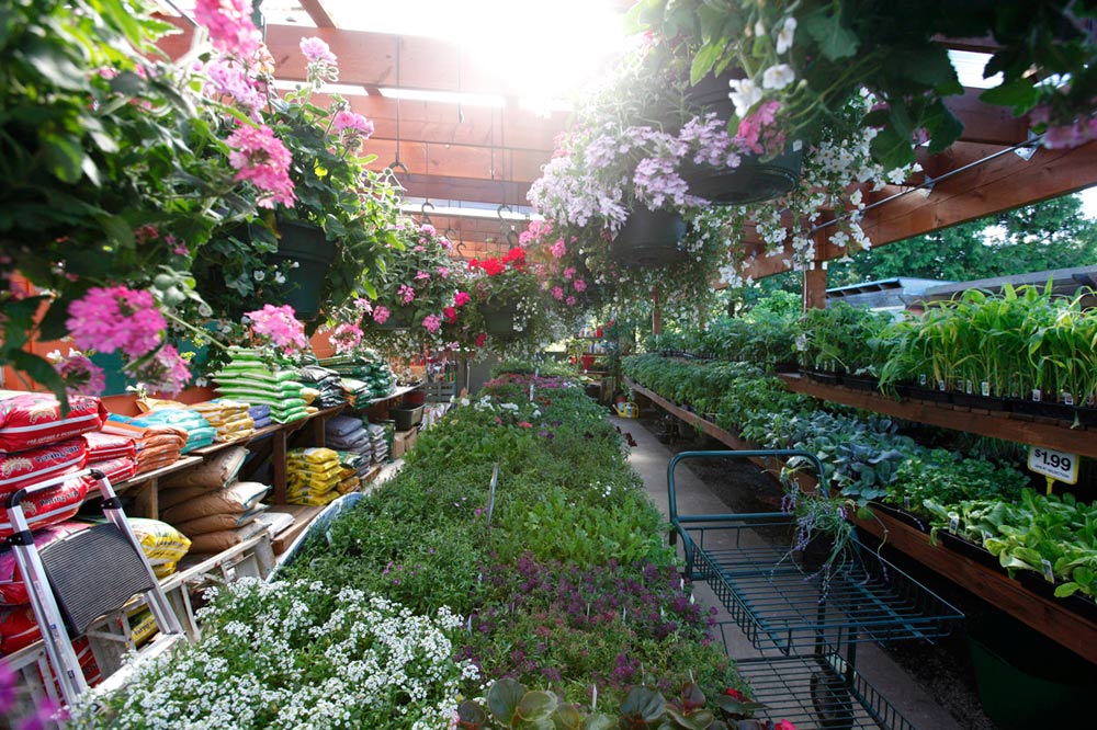  Bremerton City Nursery — A Destination for Urban, Organic  Gardening, Featured, The Garden, March 26, 2019