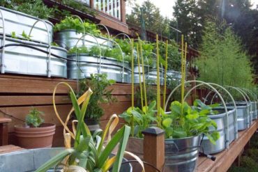 Solar Energy Enhances Northwest Gardening
