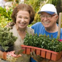 Gardening Made Easy for Boomers