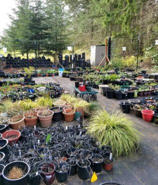 Plant Yard