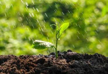 Water and Drought Tracking