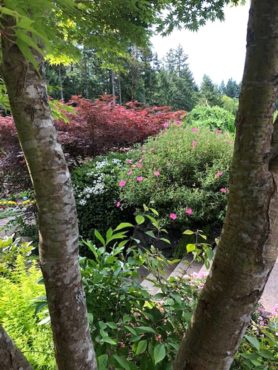 Gig Harbor Garden Tour