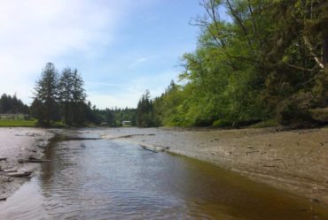 Miller Bay Preserve (Photo courtesy Jonathan Decker)