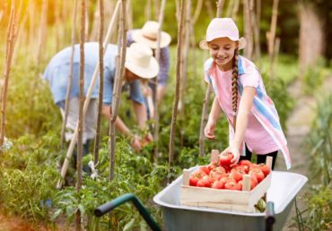 gleaning