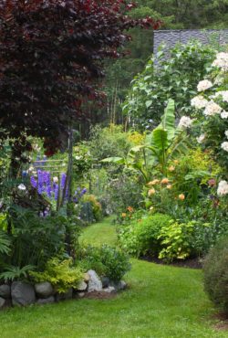 Lawn paths allow visitors to meander through the garden.